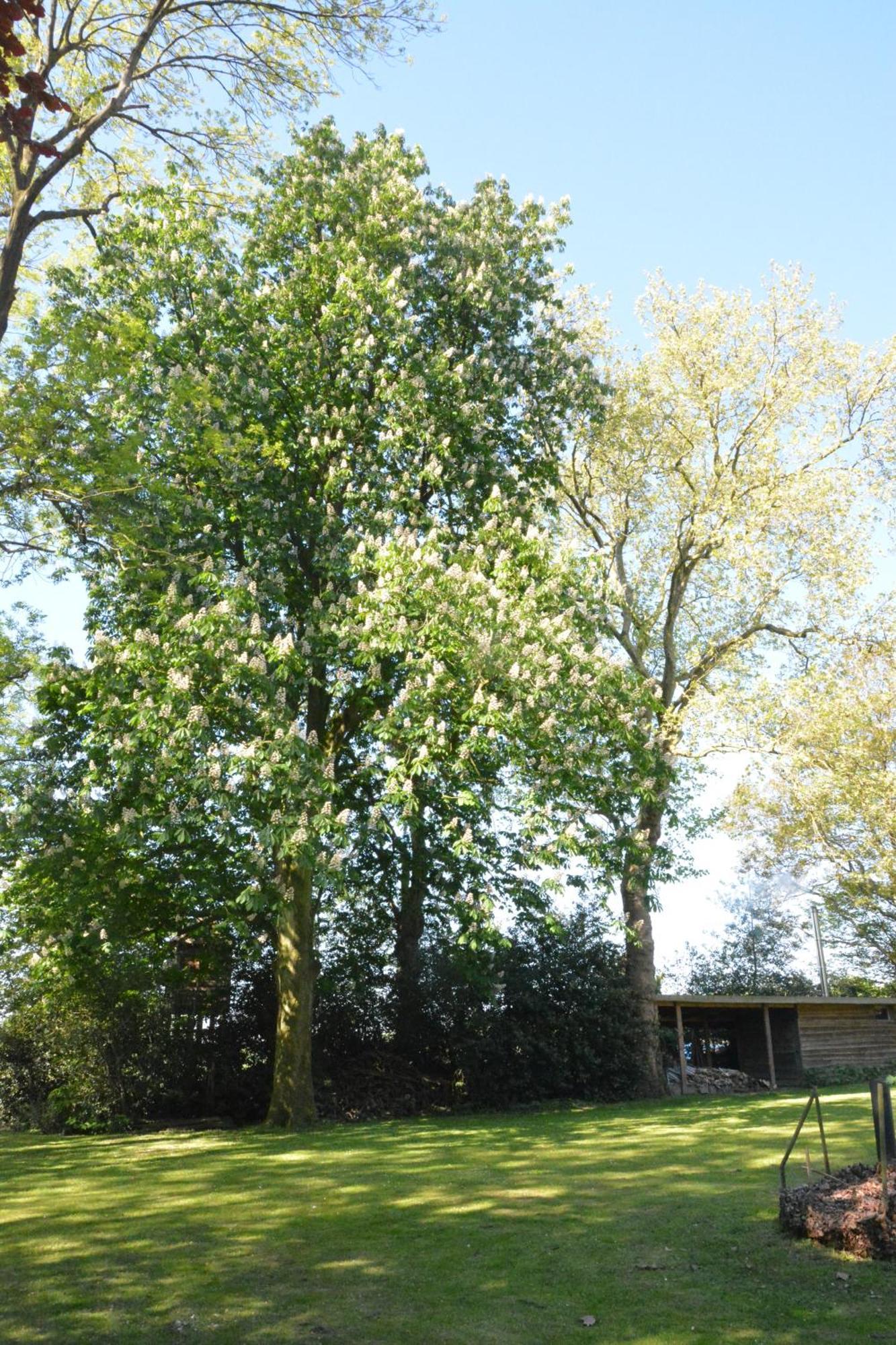 B & B Landhuis Ter Velt Melle Luaran gambar